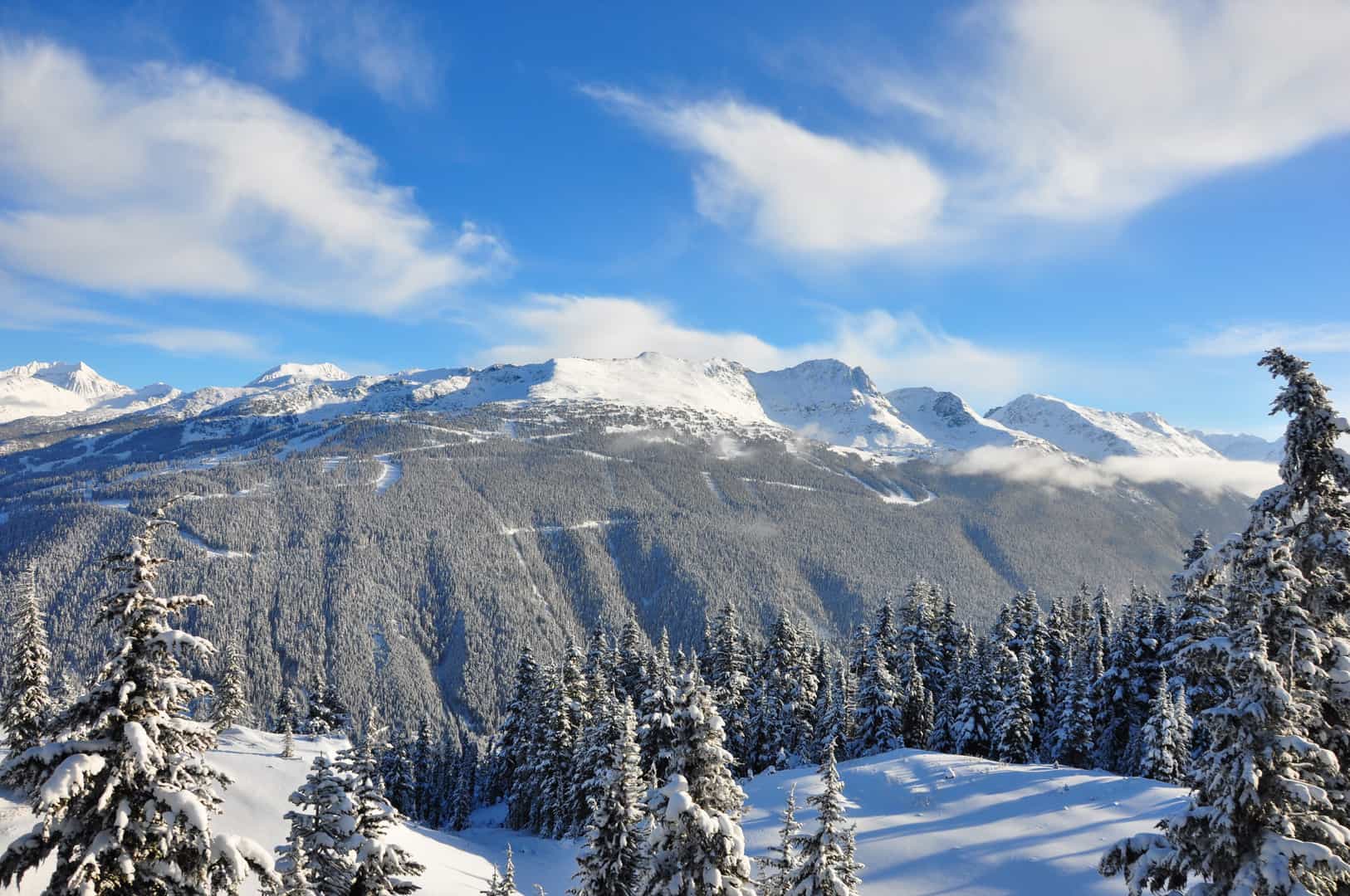 Whistler