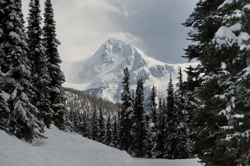 Whistler Real Estate