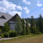 Aspens on Blackcomb