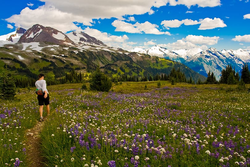 Whistler Hiking For Families