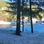 Beach front on Alpha Lake