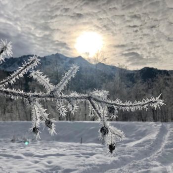 photo credit Julian Hine