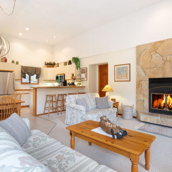 Living Area with floor to ceiling wood burning fireplace